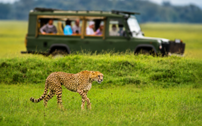 Pulse of Southern Africa