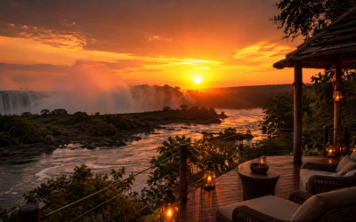 Under African Skies