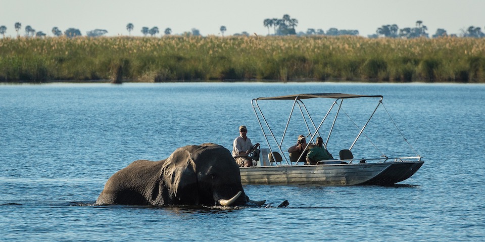 DumaTau Camp in the Linyanti region of Botswana