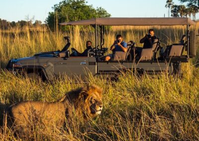 Kaleidoscope of Southern Africa