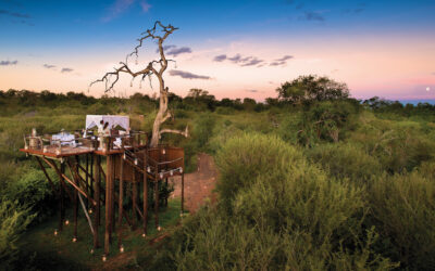Deciding on Southern or East Africa for Your Holiday Destination