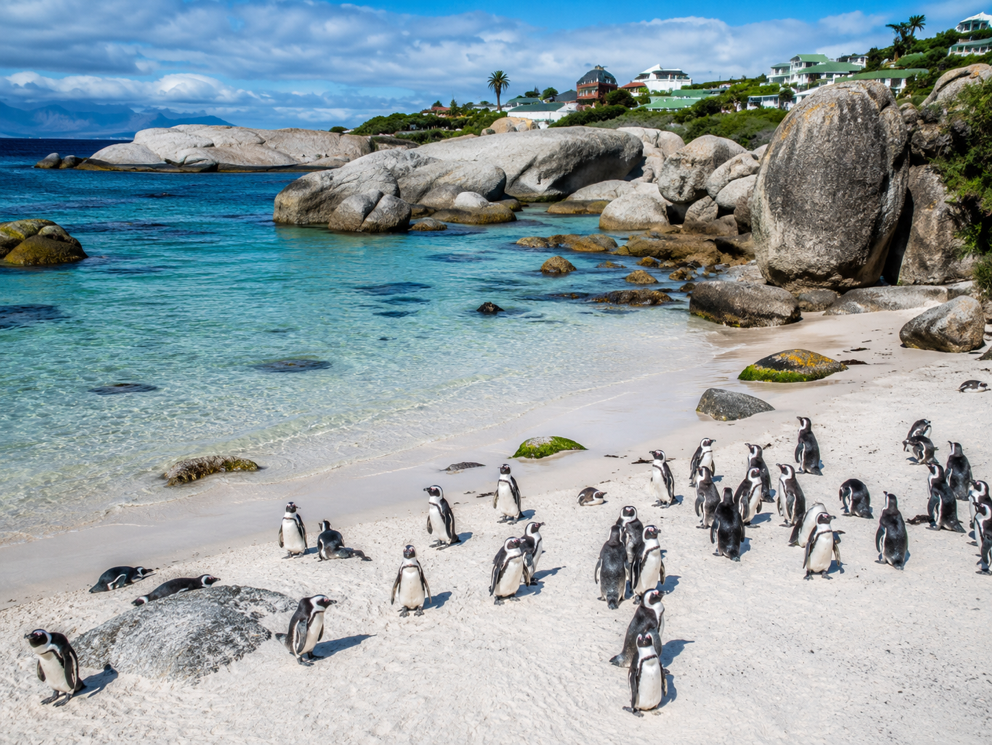 Tintswalo Atlantic near Hout Bay